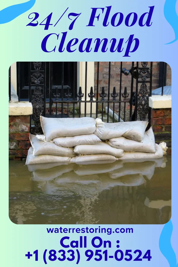24/7 Flood Cleanup in Cotter, IA