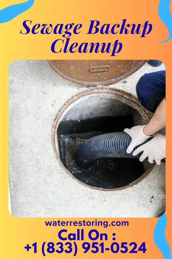 Sewage Backup Cleanup in Cotter, IA